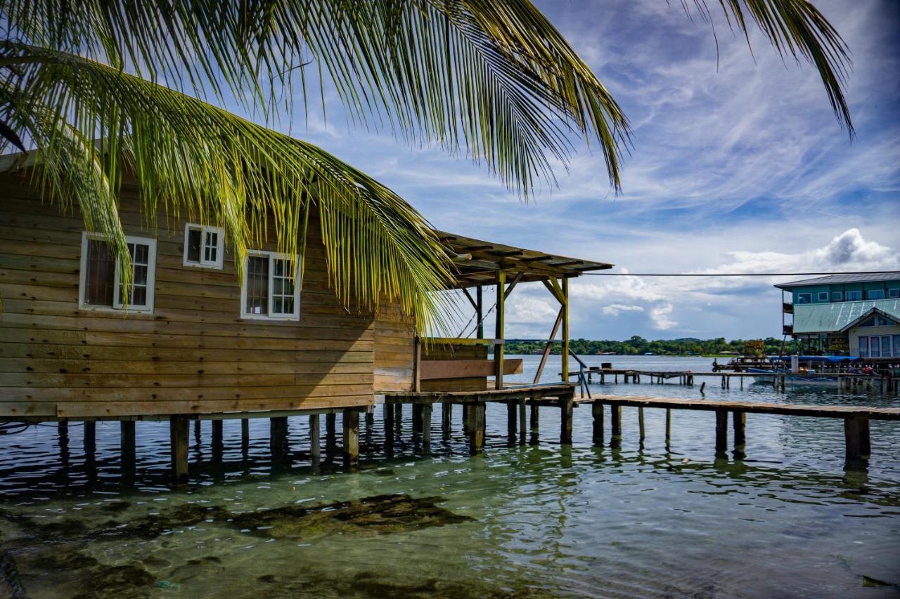 Hostal On The Sea 博卡斯德尔托罗 外观 照片